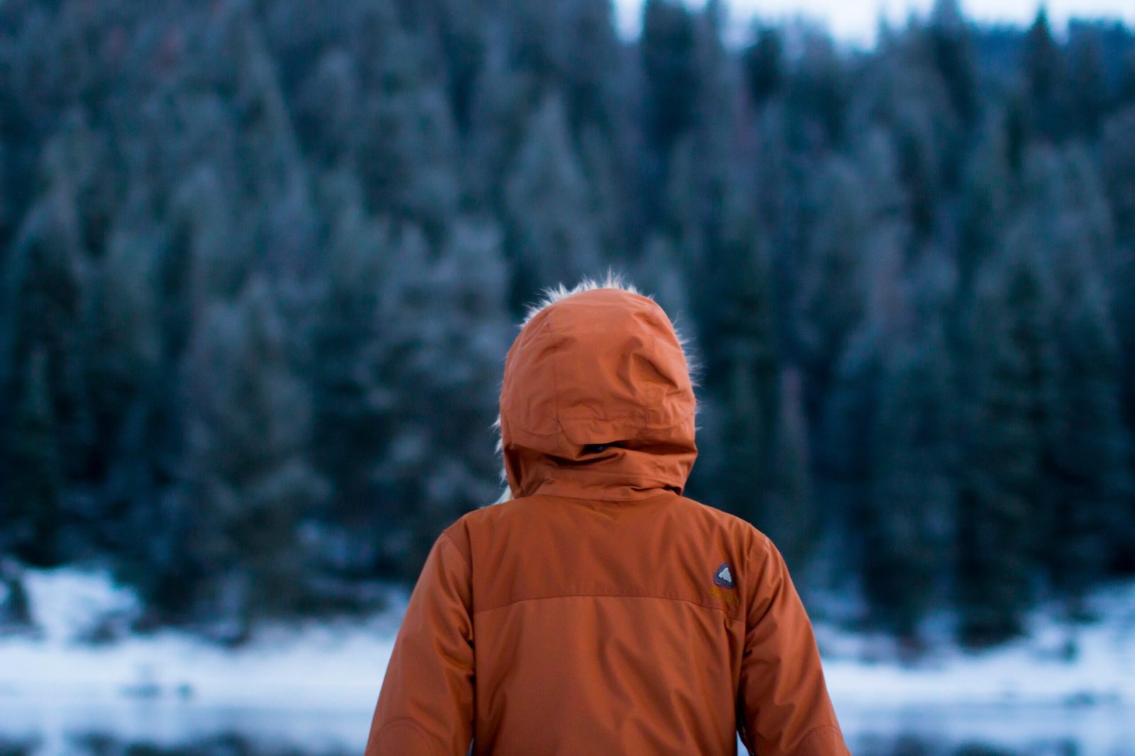 shallow focus photography of person facing trees